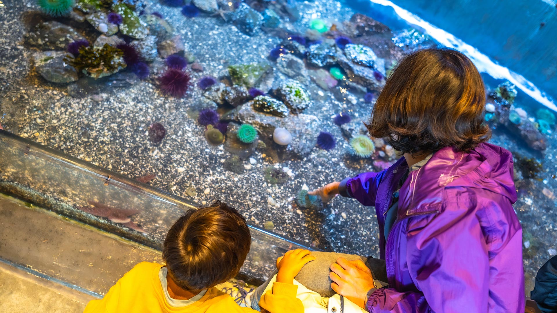 Hatfield Marine Science Center in Newport, OR | Seagrass Oceanfront Inn